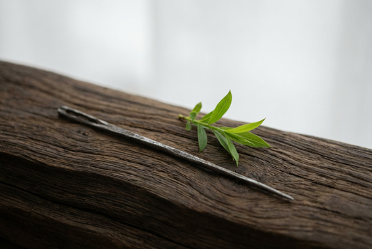 The Secret of Effortless Mastery: Zhuangzi’s Parable of Cook Ding